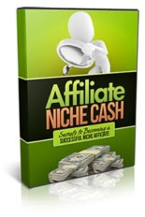 Product picture Affiliate Niche Cash video course mrr
